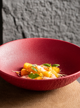 陶瓷餐具高温釉下彩红色复古湘菜馆小炒特色菜面碗大面碗菜盘汤盘