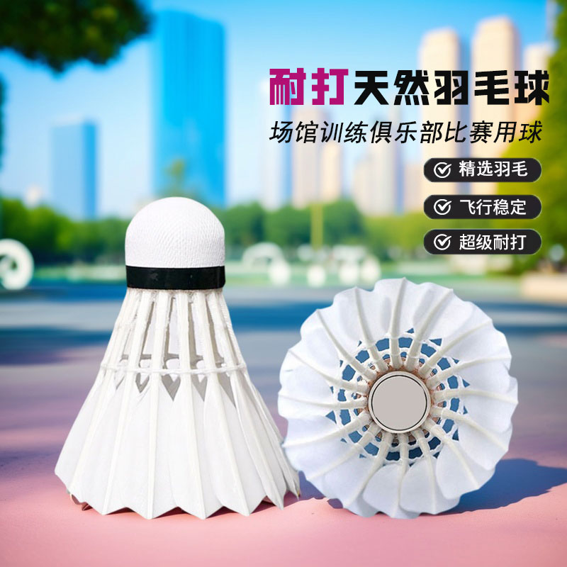 羽毛球耐用穩定口糧球3只12只裝