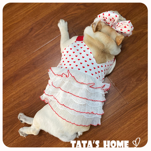 TATA家原创宠物狗狗连衣裙泰迪法斗柯基红色爱心波点吊带连衣裙夏