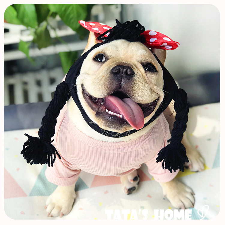 ins搞怪个性狗狗儿童蝴蝶结两角辫假小辫子法斗拍照造型可爱发带