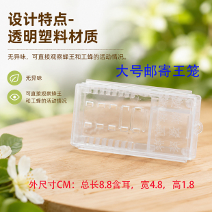 多功能邮寄王笼透明塑料王笼中意蜂通用蜂王笼双仓囚王笼储王器