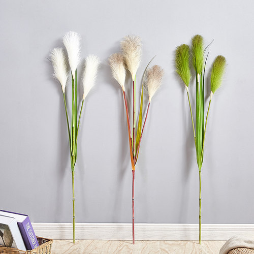 干花仿真芦苇狗尾草单枝五谷杂粮