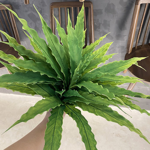 新品仿真鸟巢蕨山苏花手感胶阔叶狼尾蕨假花微景观造景装饰植物
