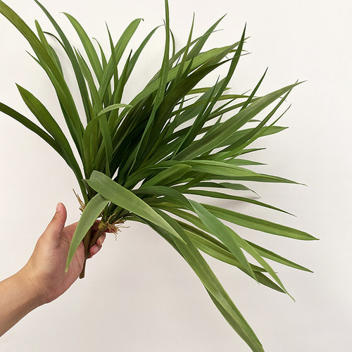 吊兰宽叶绿草户外插花仿真植物