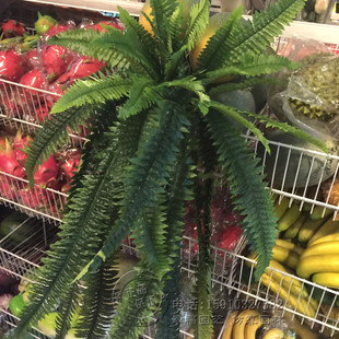 仿真波斯草叶吊兰藤条藤蔓热带植物假花绢花叶子树枝壁挂装 饰绿植