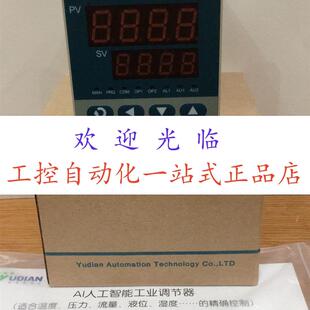 温度控制仪_宇电_AI DK518PAX3L0 704MEJ0J0L1L5S6 2181A1GL0