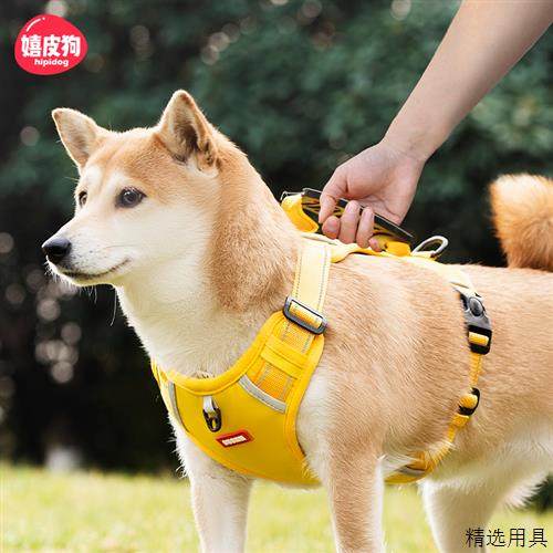 狗狗牵引绳胸背带外出防爆冲中型大型犬柴犬柯基背心式遛狗绳狗链