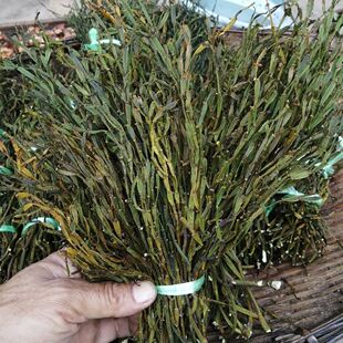 正宗枫香寄生枫树寄生中药材枫寄生螃蟹脚泡水泡茶当季新货无添加