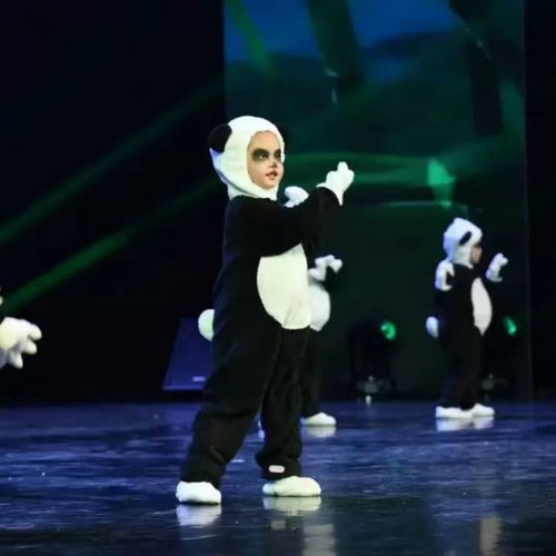 大熊猫儿童演出服功夫熊猫套装