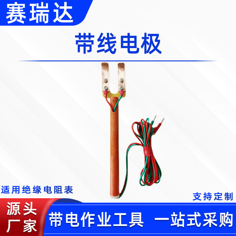 绝缘自检带线电极抗干扰泄露电流计电极棒绝缘电阻表测试电极板
