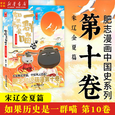 如果历史一群宋辽金夏篇预售肥志