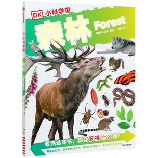 森林 DK小科学馆