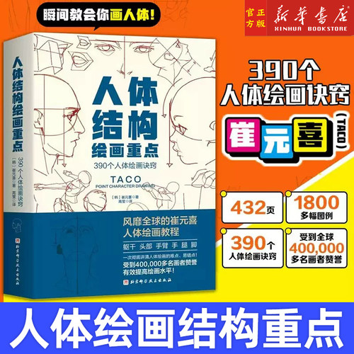 人体结构绘画重点 画出自然的人体结构 三个月打败斋藤直葵：画技高效提升法 崔元喜 TACO人体 人体结构绘画教程 绘画技巧