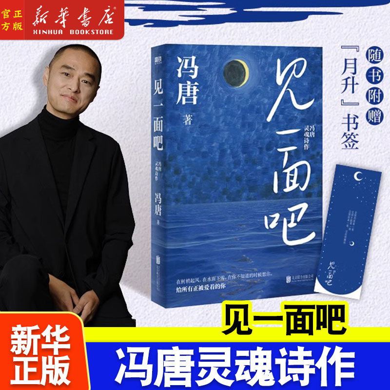 见一面吧:冯唐灵魂诗作 305首冯唐灵魂诗作 给所有正被爱着的你 收录“关于诗歌的十三个自问自答”道出人生最浅显也最深邃的哲思