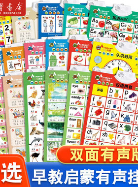 新款小海豚双面有声版