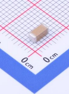 FK08X102K502EFG 安规电容 1nF ±10% 等级:X1,Y2 1808