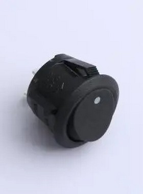 SS11-BBDWT-RR23-R 翘板开关 插件,21x15mm 船型开关