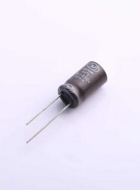 ECH2WM100G17OTZO 直插铝电解电容 10uF ±20% 450V 插件,D10xL17