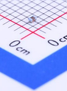 CS0402-22NJ-S 贴片电感 22nH ±5% 0402