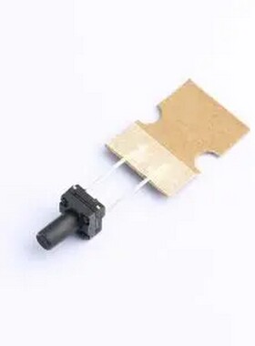 TSX06121-100B333DA-L2000 6*6*10长两脚防水轻触开关 插件,6.1x6