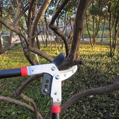 台湾树枝专用剪刀修剪树枝果树园林剪刀大力剪鲨鱼口粗枝剪刀修枝