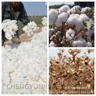 两冲程四冲程背负式 阿克苏棉花收获机小型棉花采摘机 汽油采棉机
