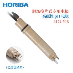 日本HORIBA堀场换片式 50B 专用电极氢氟酸PH电极6171