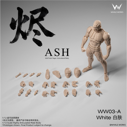 鲸工坊 1/12 超可动 男素体 烬Ash 可动 补款
