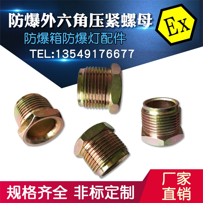 防爆变径接头防爆补芯转换接头