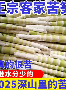 苦笋新鲜野生客家大洋苦笋清水笋冬笋春笋竹笋非雷笋野菜时令野菜