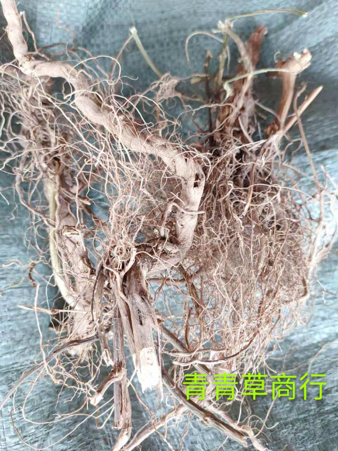 野生鬼针草根三叶鬼针草纯根野生采摘自然晾晒民间青草肠胃草炖汤