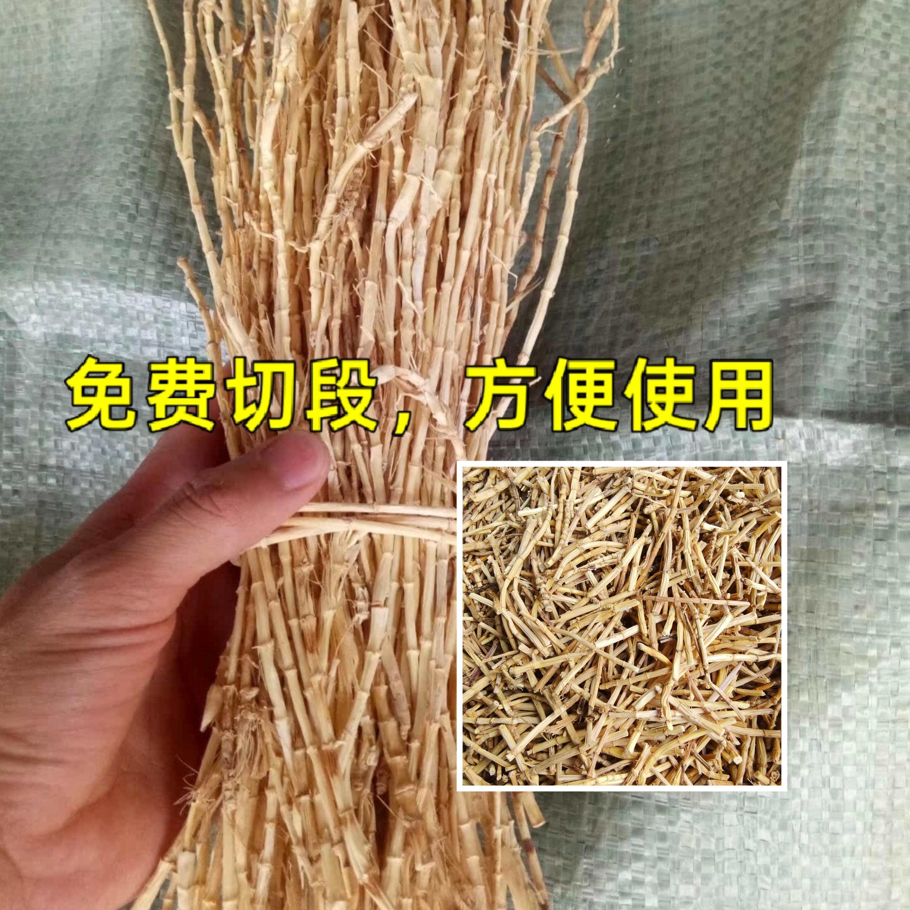 野生白茅根新鲜晒干茅草根无硫干货白花毛根地节根切段500克包邮