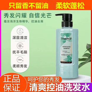绿叶爱生活清爽控油洗发水无硅油柔顺丝滑蓬松舒缓控油洗发水正品