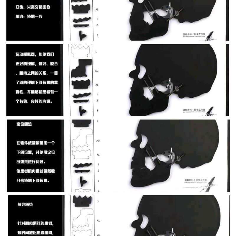 下颌运动模拟器颞下颌关节系统演示板牙科肌肉牙齿咬合模拟