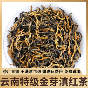 云南古树浓香型茶叶滇红茶金芽经典新茶养胃红茶春茶散装500g普洱