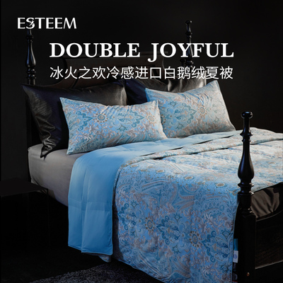 ESTEEM/宜庭冰火之欢/秘境/冷萃白鹅绒夏凉被可水洗空调被被芯
