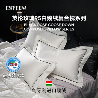 Esteem宜庭匈牙利95白鹅绒枕头