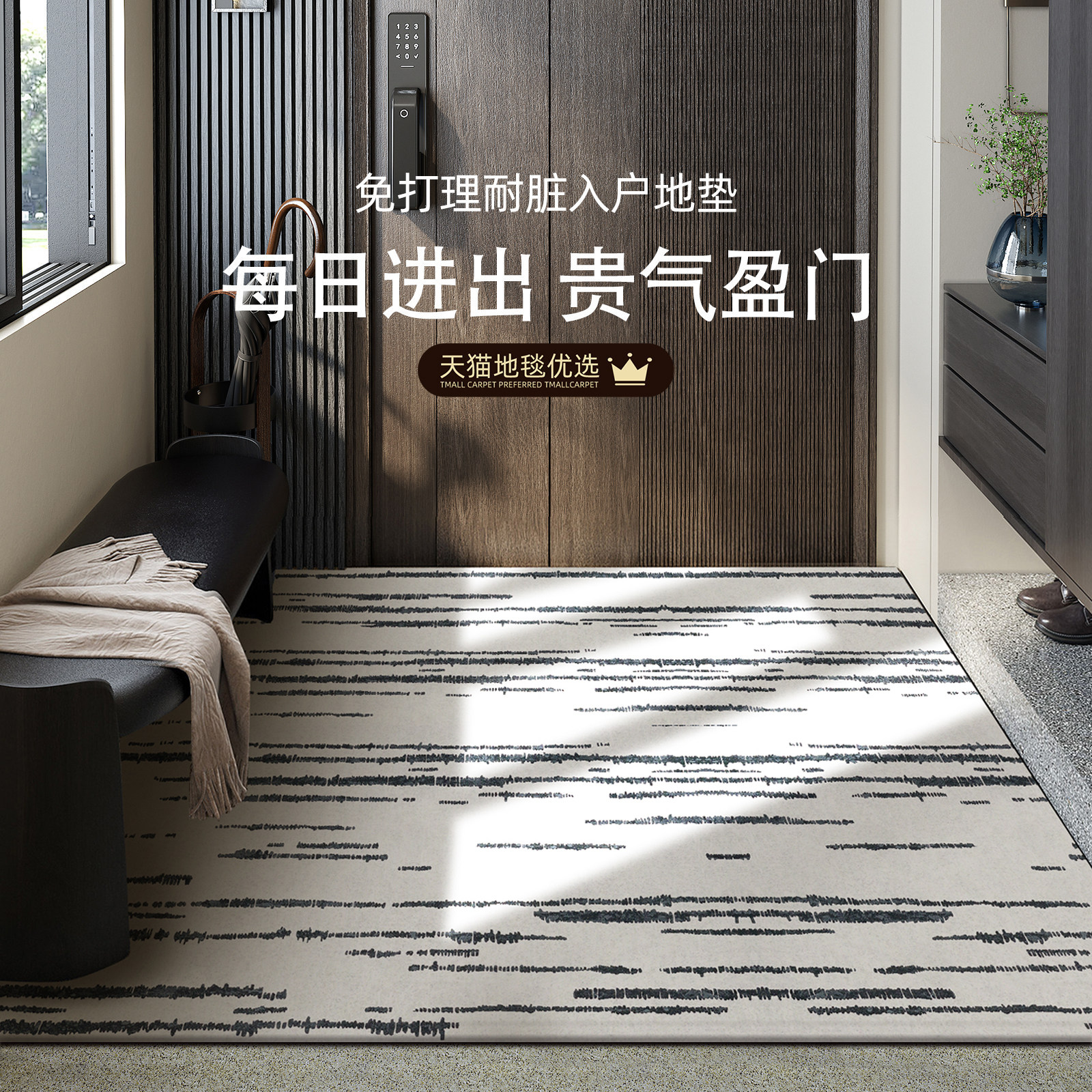 入户门地垫门口2026新款高级感耐脏防滑客厅地毯家用玄关进门脚垫