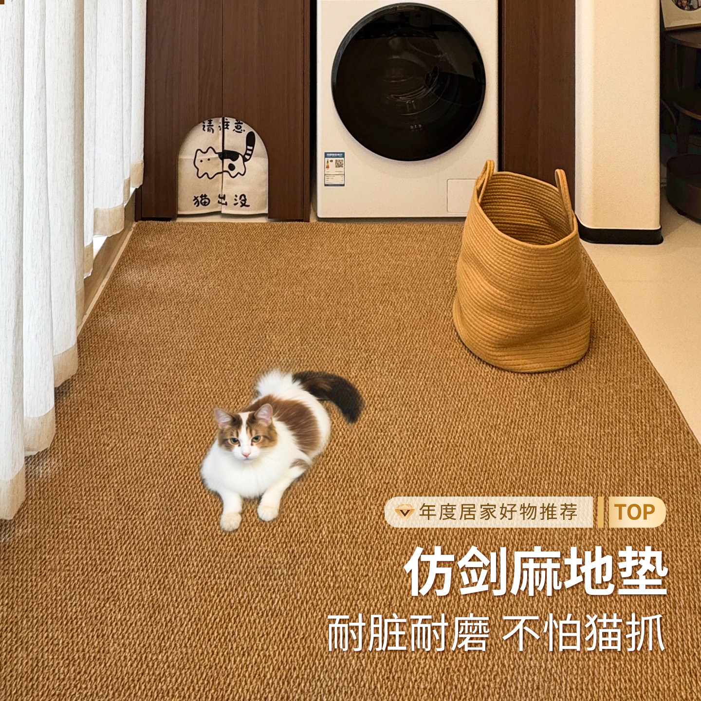 仿剑麻阳台地垫免洗入户门地垫可裁剪防潮地毯防猫抓飘窗垫定制