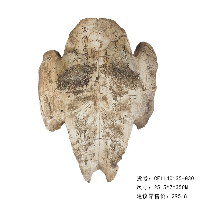 树脂甲骨文海龟壳甲鱼壳装饰墙壁挂件装饰教学道具海洋动物壳模型