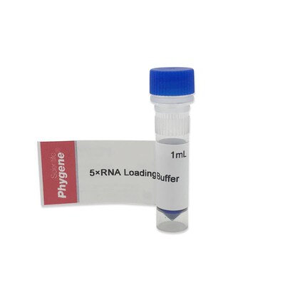 RNA上样缓冲液加样缓冲 5RNA Loading Buffer [PH0224 PHYGENE]