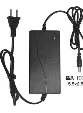 洗车机锂电池充电器24V25V48V168V998VF高压无线洗车枪通用充电线
