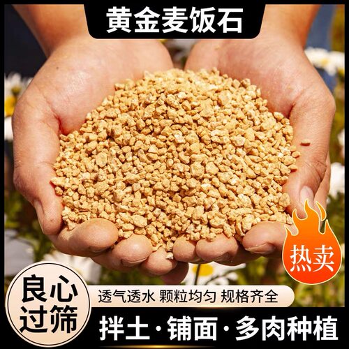 正宗韩国黄金软麦饭石颗粒多肉装饰铺面种植拌土纯颗粒土营养土壤