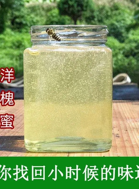 洋槐蜜水白色天然蜂蜜无添加 纯正农家正品自产土蜂蜜槐花蜜500g