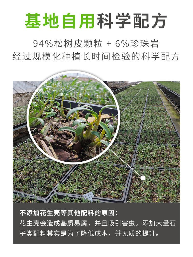 兰花专用土营养土发酵腐熟松树皮颗粒透气兰花植料铁皮石斛种植土