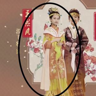 87版小戏骨红楼梦古装薛宝钗王熙凤晴雯平儿紫鹃同款影视表演出服