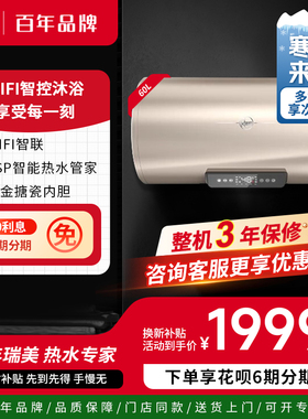 美国瑞美Rheem60升电热水器横挂智能节能大容量数显G10 补贴