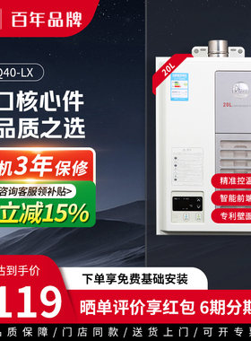 美国瑞美20L恒温燃气热水器