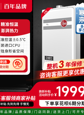 美国瑞美Rheem恒热13升燃气节能热水器下置风恒温低噪GTD补贴