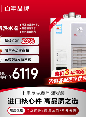 美国瑞美Rheem20升大水量恒热燃气热水器下置风1厨+2卫LX补贴